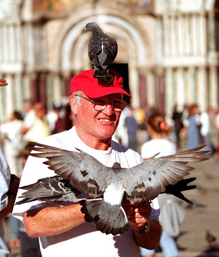 威尼斯印象之三：快乐愉悦。圣马可广场上的戏鸽老人多高兴啊！